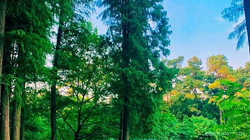 岳阳楼区南湖公园