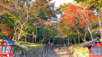 大原野神社