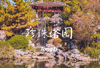 珍珠塔景园第 28 张图片