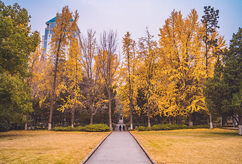 南京大学(鼓楼校区)第 3 张图片