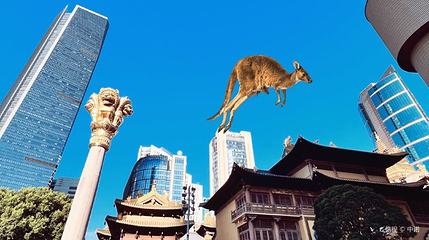 静安寺步行街第 1 张图片