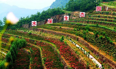 天宝梯彩农园景区第 1 张图片