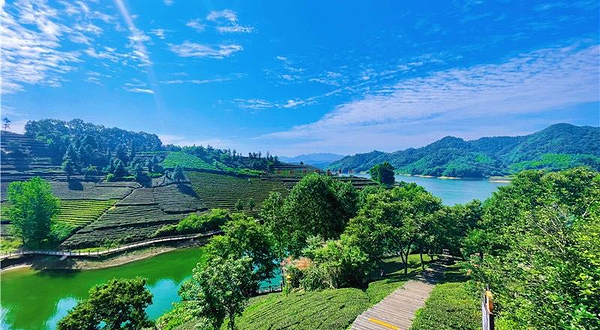 六安茶谷主题公园