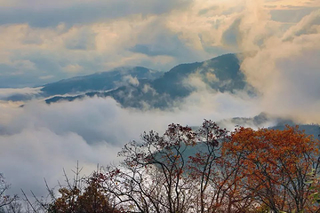 观雾山第 14 张图片