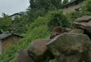 西海观湖岛第 20 张图片