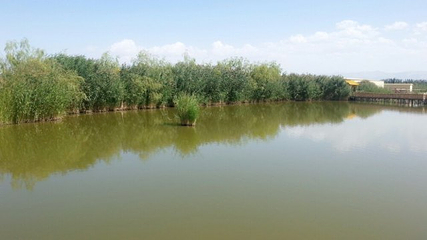 博斯腾湖大河口景区第 58 张图片
