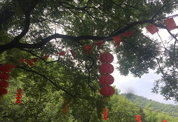 竹海滑道第 3 张图片