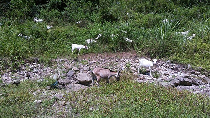 平良古峡第 5 张图片