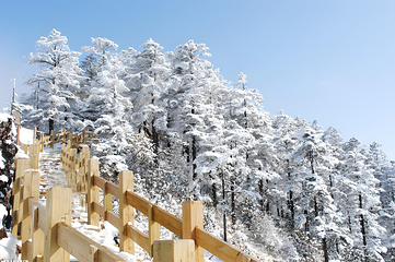 西岭雪山（滑雪场景区）第 15 张图片