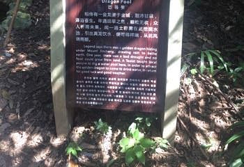 金城山森林公园第 11 张图片