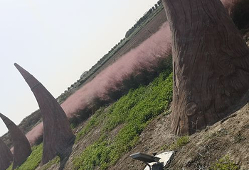 古柏渡飞黄旅游区第 18 张图片