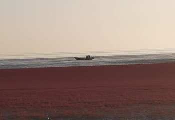 红海滩国家风景廊道第 57 张图片