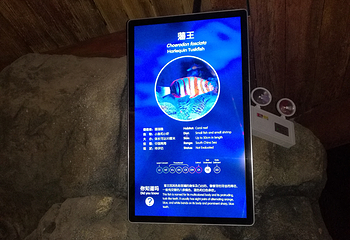 上海长风海洋世界第 77 张图片