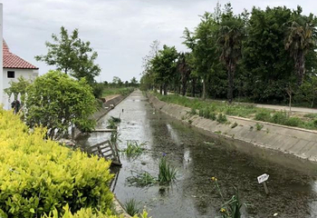 浦江玫瑰园第 7 张图片