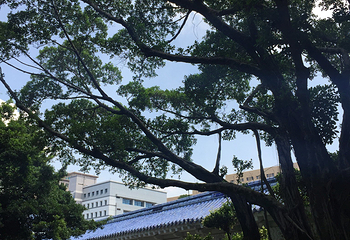基隆中正公园第 12 张图片