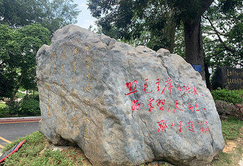 百色起义纪念馆第 36 张图片