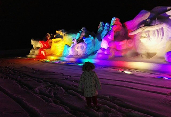 崇礼首届雪雕文化艺术节第 11 张图片