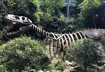 皇龙大峡谷第 22 张图片