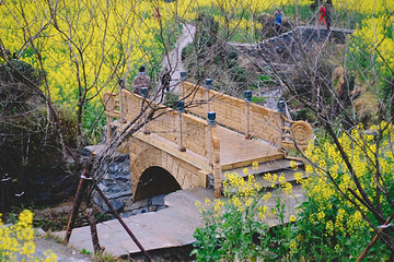 江岭景区第 34 张图片