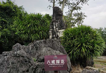石景林景区第 12 张图片