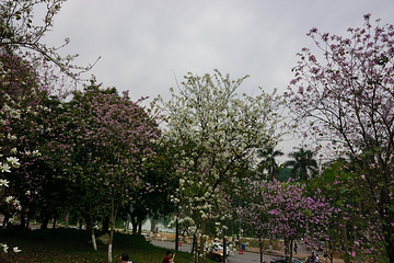 华南农业大学第 23 张图片