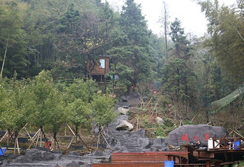 梅岭太阳谷大型梅花文化节第 23 张图片