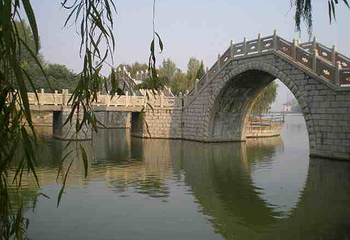 留仙湖公园第 21 张图片
