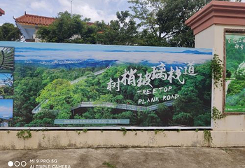 海南百花岭热带雨林文化旅游区第 61 张图片