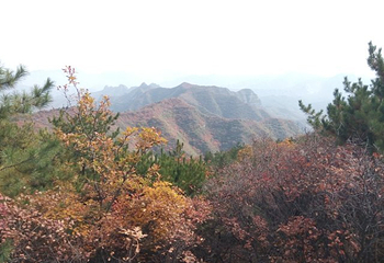 仙台山第 33 张图片