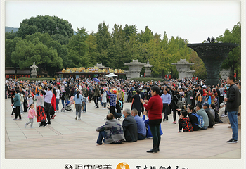 九龙灌浴第 15 张图片