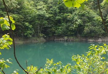 浙西大龙湾景区第 31 张图片
