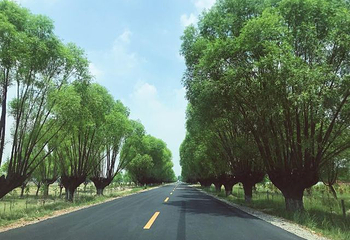 萨拉乌苏旅游区第 62 张图片