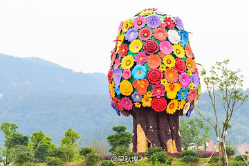 贵安花海拓展公园第 14 张图片