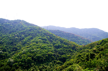 阳台山森林公园第 23 张图片