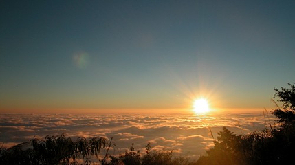 阿里山国家风景区第 28 张图片