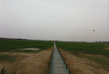 莫莫格自然保护区第 15 张图片
