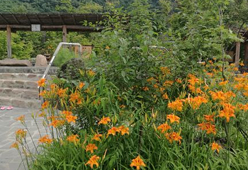 花溪沐枫雪温泉旅游度假区第 29 张图片