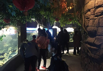 海昌海洋探索馆第 36 张图片