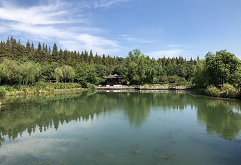 尚湖风景区第 124 张图片
