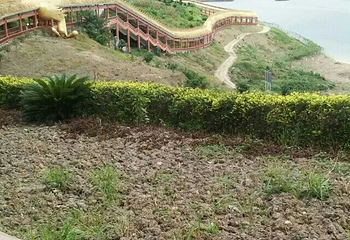 飞龙湖第 10 张图片