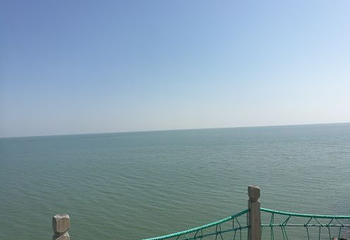 海阳连理岛第 31 张图片