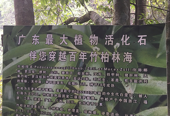 八乡山大峡谷第 12 张图片