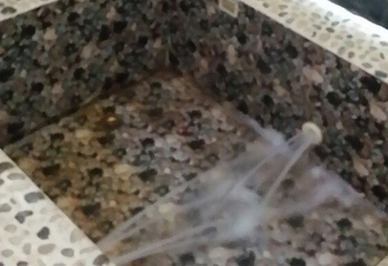 鸿源生态温泉第 28 张图片
