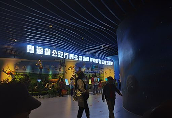 西宁新华联童梦乐园综合旅游度假区第 48 张图片