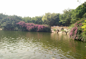 黄旗山城市公园第 14 张图片