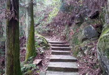 湖北三角山旅游度假区第 43 张图片