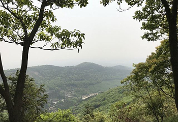 雨花胜境第 39 张图片