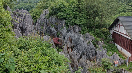 华蓥山地质博物馆第 1 张图片