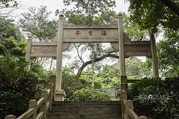 越秀公园第 299 张图片