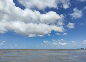 红树林赶海服务中心